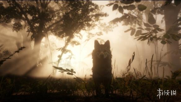 荒野大镖客2终极版与特别版区别介绍（荒野大镖客2终极版与特别版区别介绍大全）