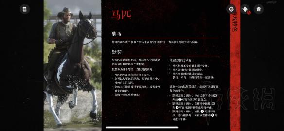 荒野大镖客2马匹系统介绍 荒野大镖客2马匹系统介绍