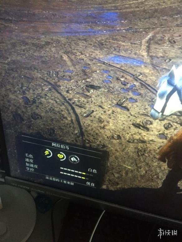 荒野大镖客2稀有阿拉伯马获取攻略（《荒野大镖客2》教您获得比阿拉伯马还要好的稀有马匹）