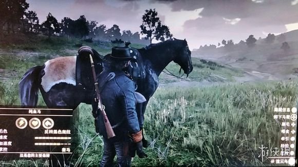 荒野大镖客2马怎么满速度 荒野大镖客2马的速度怎么加满