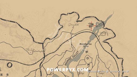 荒野大镖客2驼鹿在哪里 荒野大镖客2驼鹿在哪里出现