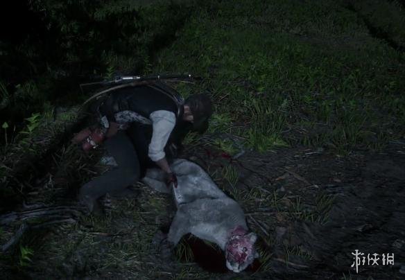 荒野大镖客2美洲狮在哪（荒野大镖客2美洲狮在哪里打）