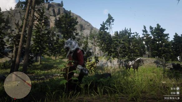 荒野大镖客2药草位置图文大全 荒野大镖客2药草在哪买