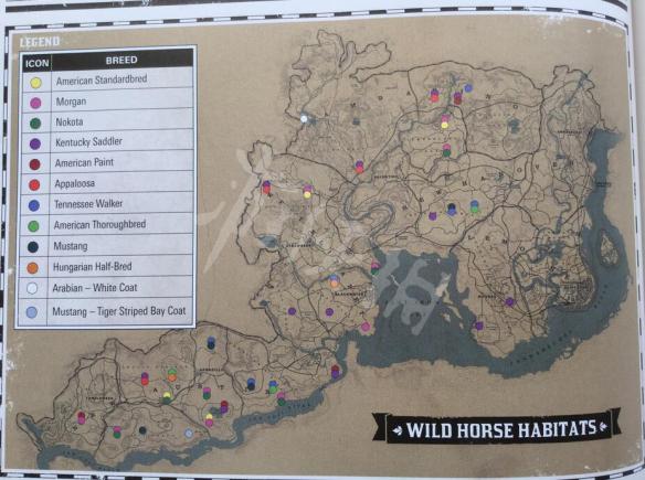 荒野大镖客2虎纹野马怎么获得（荒野大镖客2虎纹马在哪里捉）