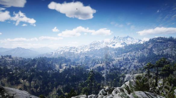 荒野大镖客2ps4有哪些实用技巧（荒野大镖客2ps4操作指南）