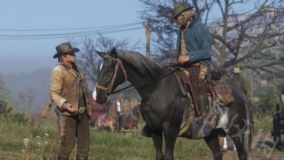 荒野大镖客2地图上植物怎么分布 大镖客2植物位置