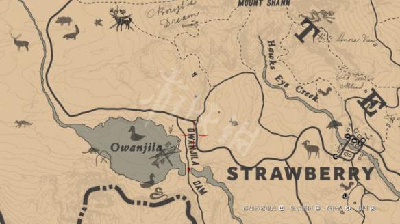 荒野大镖客2奖杯攻略要点分析 荒野大镖客2奖杯啥用