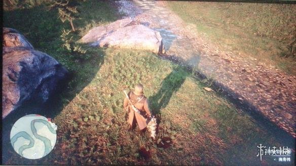 荒野大镖客2海鸥位置在哪（荒野大镖客2海鸥位置在哪儿）