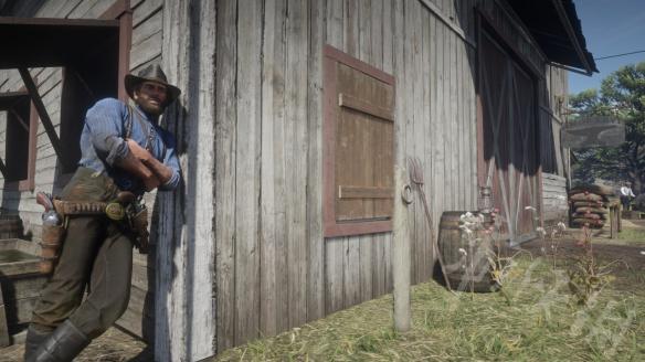 荒野大镖客2杰克霍尔宝藏在哪 荒野大镖客2杰克霍尔藏宝图位置