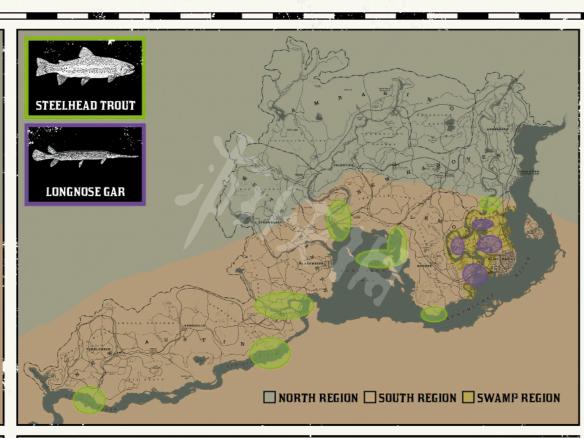 荒野大镖客2生存大师钓鱼技巧汇总（荒野大镖客2生存大师10差一种鱼）