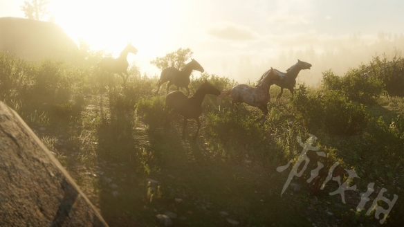 荒野大镖客2线上动物刷新机制是什么（荒野大镖客2线下动物刷新）