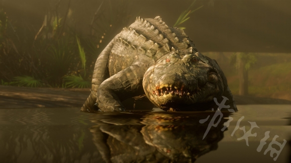 荒野大镖客2线上营地建在哪比较好 荒野大镖客2线上大营地有什么用