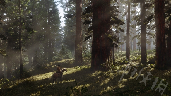 荒野大镖客2线上模式奖章怎么获取（荒野大镖客2线上奖章怎么换金条）