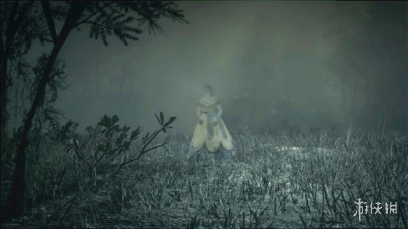 荒野大镖客2全特殊角色位置一览（荒野大镖客2特殊npc位置）