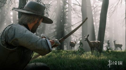 荒野大镖客2新手打猎需要注意什么 荒野大镖客2前期打猎