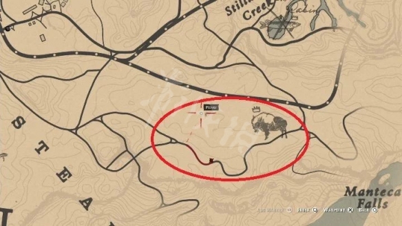 荒野大镖客2野牛用什么打（荒野大镖客2野牛用什么打最好）