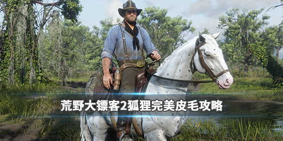 荒野大镖客2狐狸用什么枪打（大镖客 狐狸用什么枪）