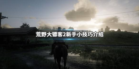 荒野大镖客2新手小技巧介绍 荒野大镖客2新手小技巧介绍大全