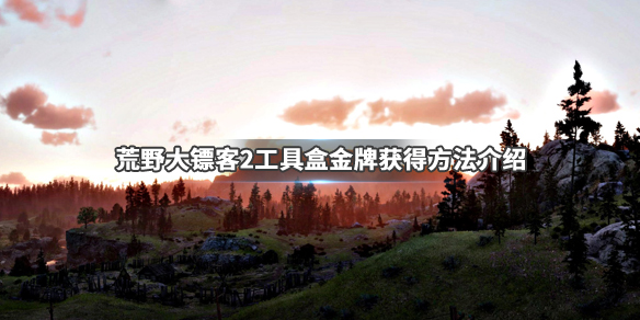 荒野大镖客2工具盒任务怎么做（荒野大镖客2工具图鉴）
