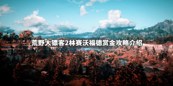 荒野大镖客2林赛沃福德金枪怎么拿（荒野大镖客2林赛沃福德金枪怎么拿不了）