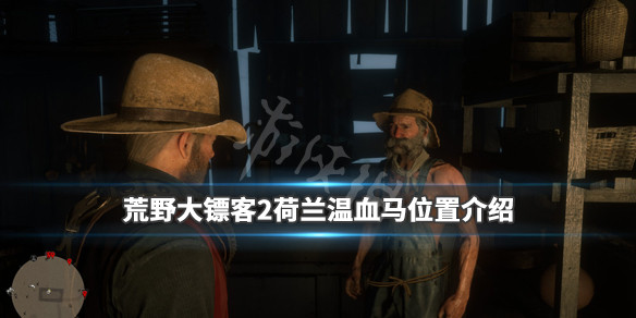 荒野大镖客2荷兰温血马在哪里抓（荒野大镖客2荷兰温血马深褐色）