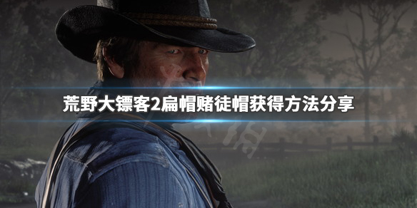 荒野大镖客2赌徒帽怎么获得（荒野大镖客2赌徒位置）