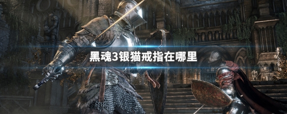黑魂3银猫戒指在哪里 黑魂三银猫戒指任务流程
