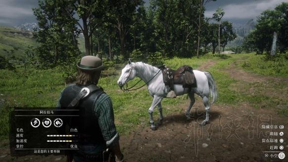 荒野大镖客2阿拉伯马有哪些颜色（荒野大镖客2阿拉伯马有哪些颜色的）