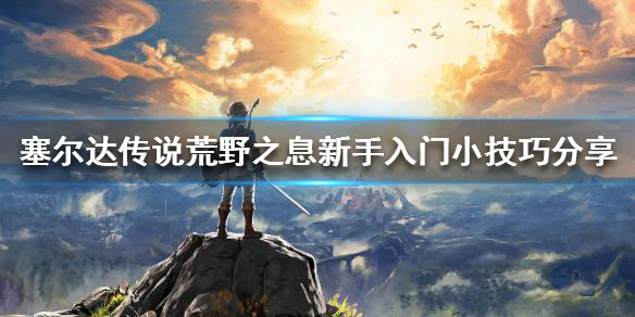 塞尔达传说荒野之息新手该怎么玩 塞尔达 旷野之息 新手