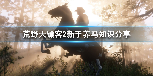 荒野大镖客2新手怎么养马 荒野大镖客2如何养马