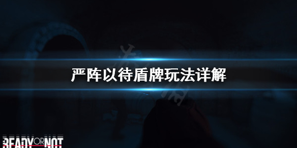 严阵以待盾牌怎么上手 严阵以待啥意思