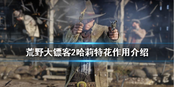 荒野大镖客2哈莉特花有什么用 荒野大镖客2哈里特花位置