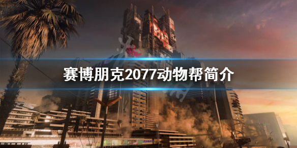 赛博朋克2077动物帮是做什么的（2077动物帮帮主）