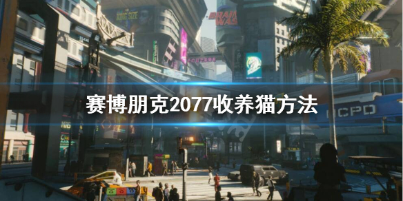 赛博朋克2077猫在哪获得 2077猫又怎么获得