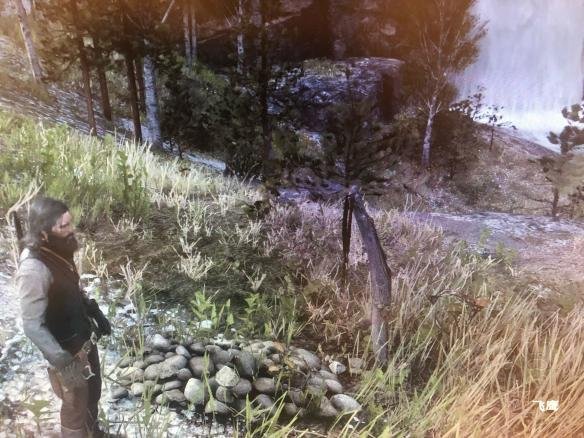 荒野大镖客2同伴的墓地位置图文攻略 帮派成员坟墓在哪里