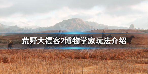 荒野大镖客2博物学家怎么玩（荒野大镖客2ol博物学家赚钱吗）
