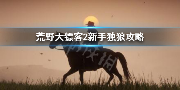 荒野大镖客2新手独狼怎么玩 荒野大镖客2独狼玩什么职业