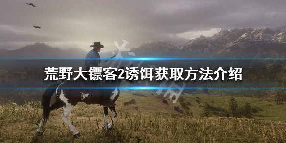 荒野大镖客2鱼饵在哪里买（大镖客2 鱼饵店）