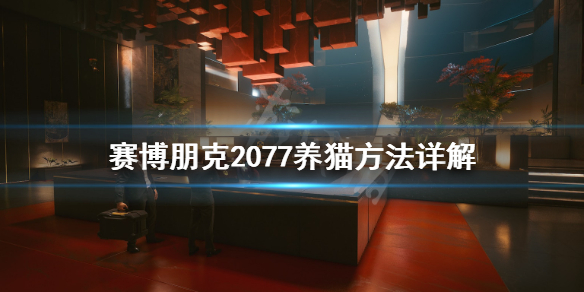 赛博朋克2077怎么养猫（赛博朋克2077养猫什么时候可以）