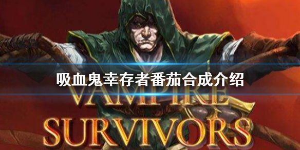 吸血鬼幸存者番茄有什么用 吸血鬼 番茄