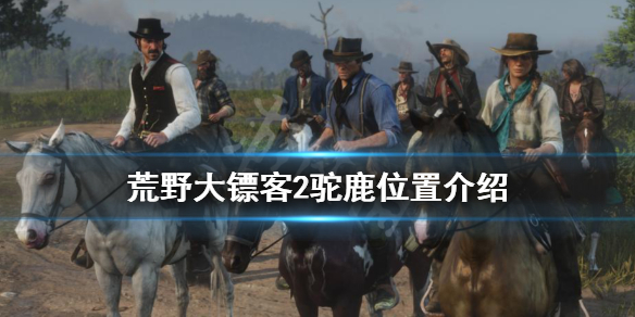 荒野大镖客2驼鹿位置介绍 荒野大镖客2ol驼鹿刷新点