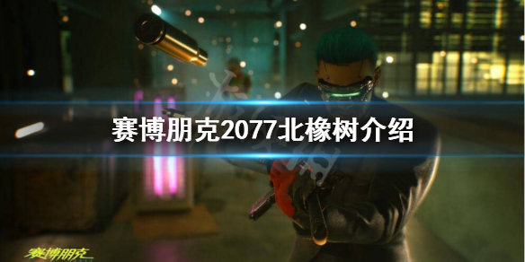 赛博朋克2077北橡树地区怎么样 2077北橡区ncpd