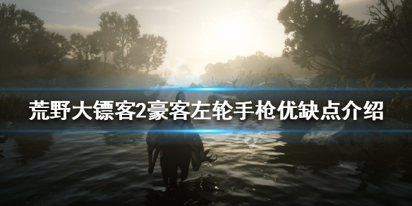 荒野大镖客2豪客左轮手枪怎么玩（荒野大镖客2线下豪客左轮在第几章解锁）