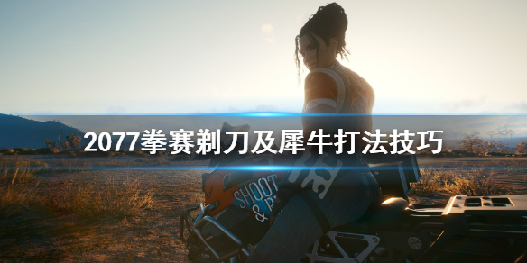 赛博朋克2077拳赛犀牛怎么打（赛博朋克2077拳击犀牛）