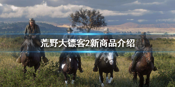 荒野大镖客2新商品介绍（荒野大镖客2新玩法）