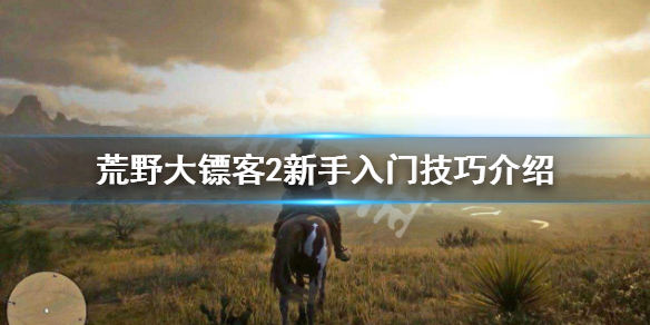 荒野大镖客2新手玩法技巧大全 荒野大镖客2新手玩法技巧大全