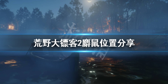 荒野大镖客2麝鼠在哪刷（荒野大镖客2麝鼠在哪刷新）