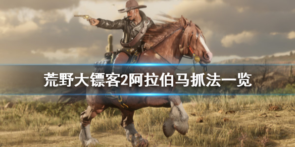 荒野大镖客2阿拉伯马怎么驯服（荒野大镖客2阿拉伯马能抓几匹）