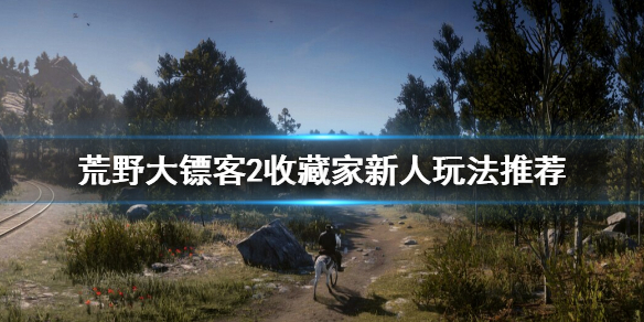 荒野大镖客2收藏家怎么上手（荒野大镖客2收藏家怎么开始任务）