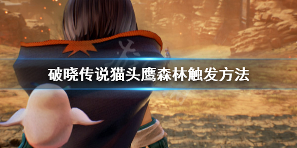 破晓传说猫头鹰森林去哪找（破晓传说猫头鹰之森支线）